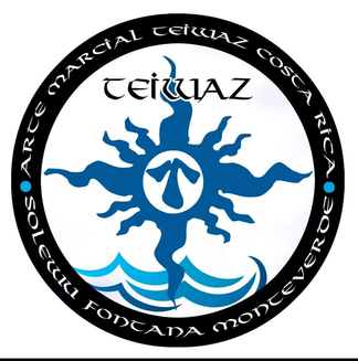 Logo de Academia Teiwaz Monte Verde
