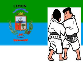 Logo de Asociación Deportiva Judo Limón